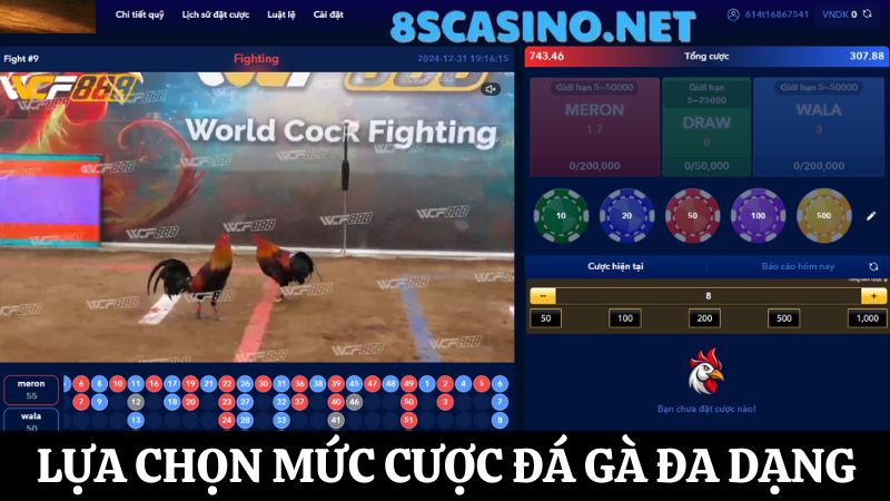 Cá cược đá gà 8S Casino