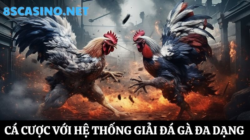 đá gà 8S Casino đa dạng giải đấu