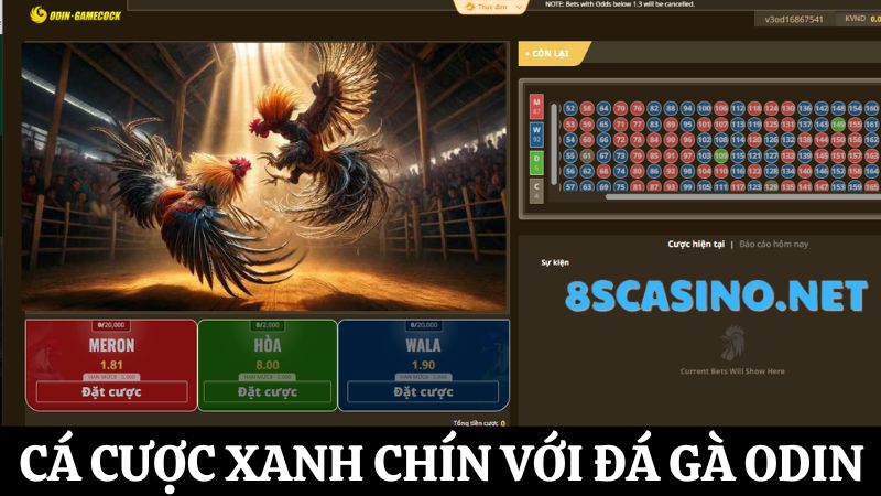 đá gà 8S Casino ODIN 