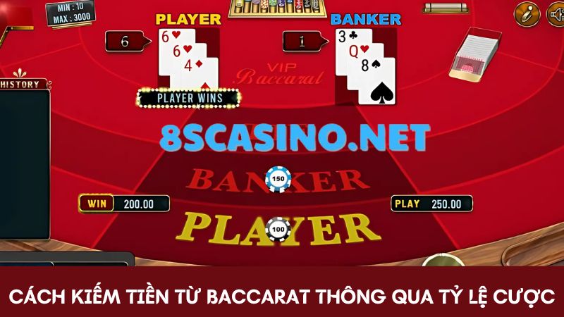 Cách kiếm tiền từ Baccarat thông qua tỷ lệ cược