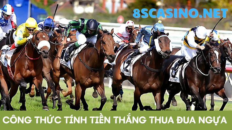 công thức tính tiền thắng thua đua ngựa 8S Casino