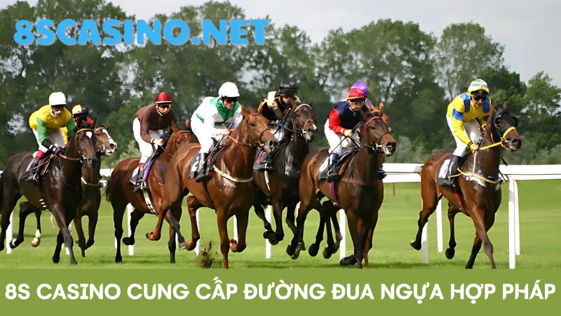 đua ngựa 8S Casino cung cấp trường đua hợp pháp 