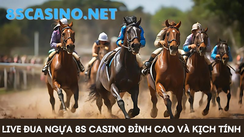 Xem live đua ngựa 8S Casino