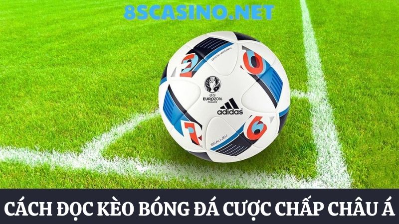 cách đọc kèo bóng đá cơ bản 